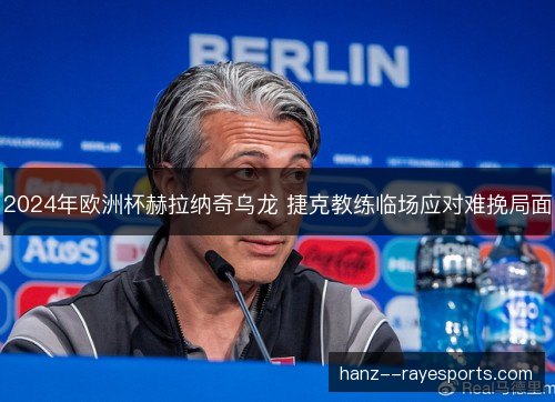 2024年欧洲杯赫拉纳奇乌龙 捷克教练临场应对难挽局面